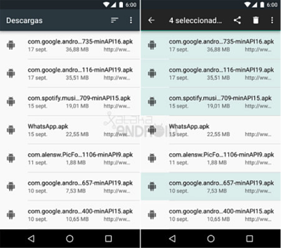 Borrar descargas