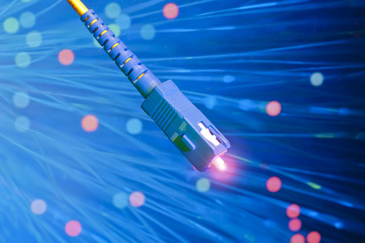fibra optica