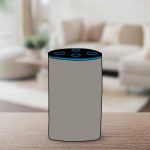 Skills de Alexa, Amazon Echo