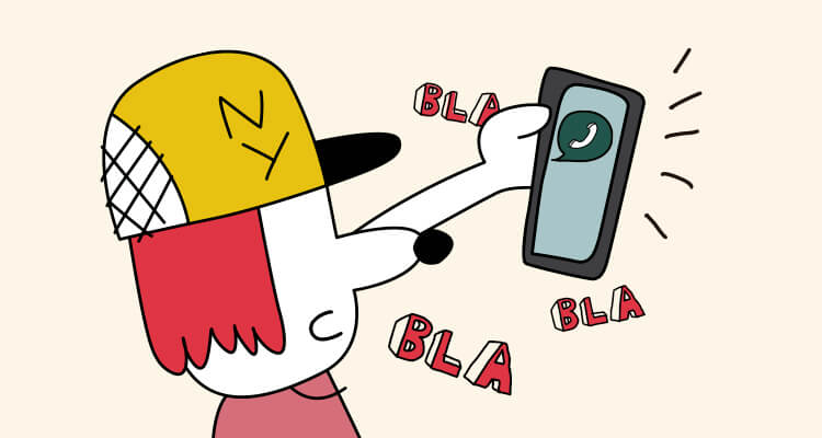 Google Voice Access