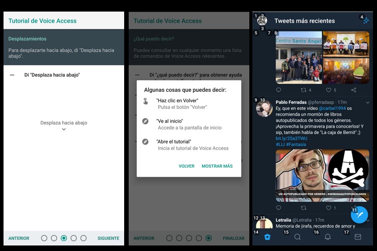 Captura de pantalla que muestra un tutorial sobre Google Voice Access