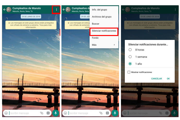 silenciar chat de whatsapp
