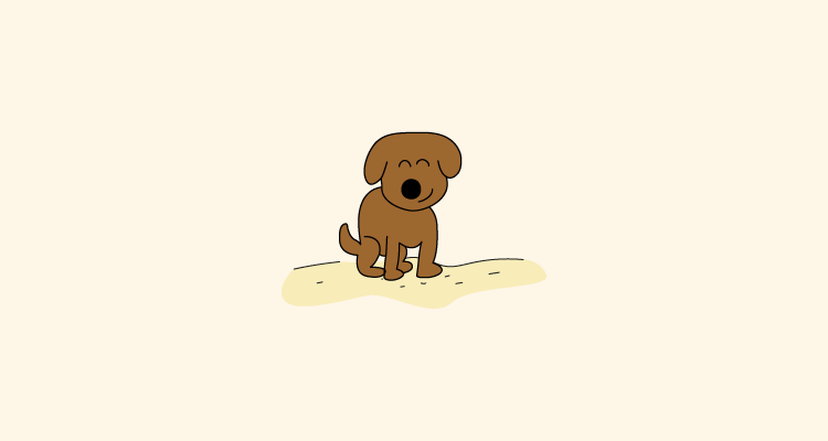 Playas para perros en España