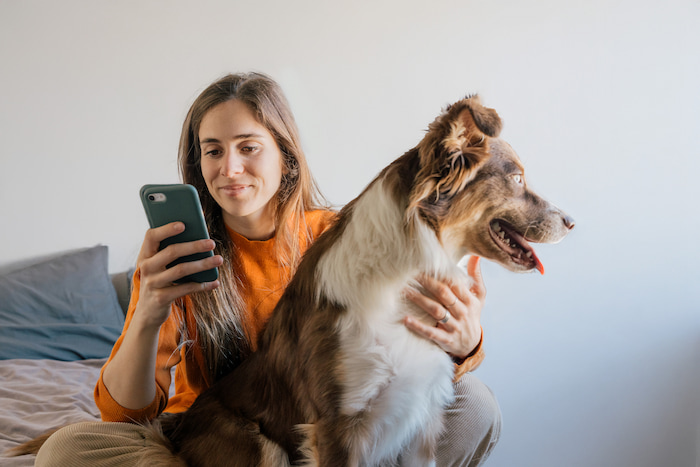 Playas para perros en España [Guia 2022]