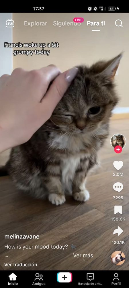 Vídeos en TikTok