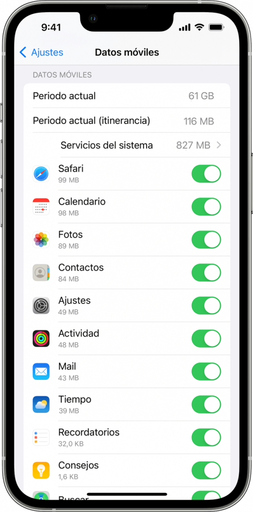 Cuántos gigas utilizo en iPhone