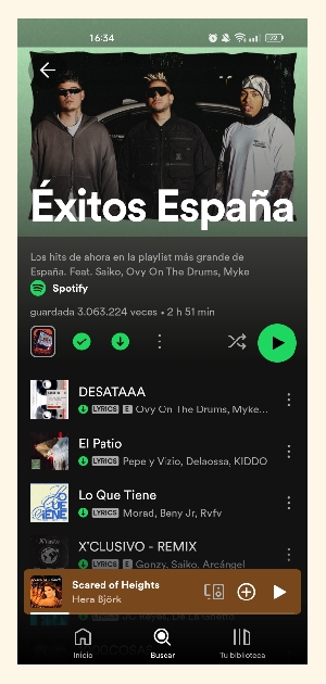 Descargar lista de reproducción en Spotify