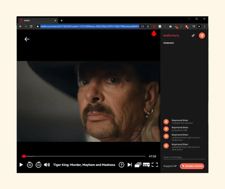 Teleparty Netflix