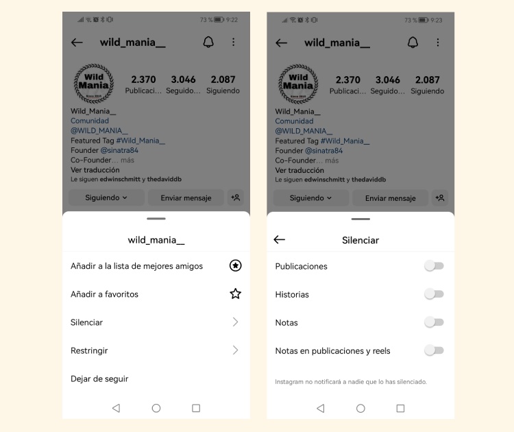 Silenciar feed de Instagram